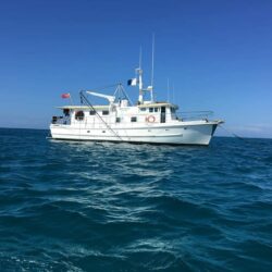 Deposit for Adori Liveaboard