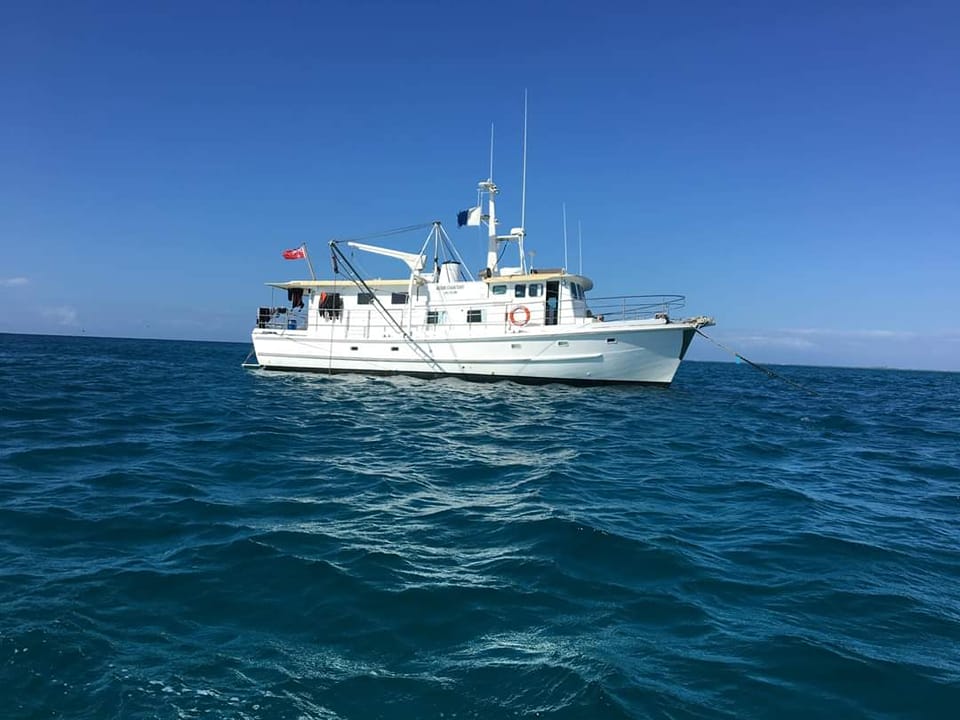 Adori dive vessel